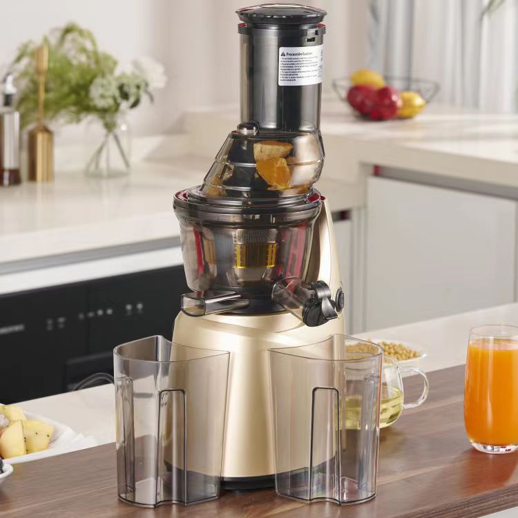 Best Stainless Steel 60 Househ - Electric Slow Juicer Cold Press 评论和价格