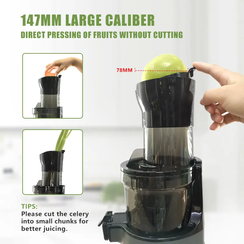 FirmHome StoreIslow Orange Cit - Electric Slow Juicer Cold Press 评论和价格