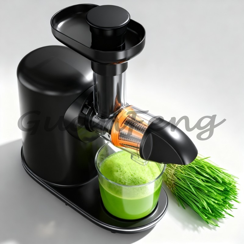 Cold Press Slow Juicer Electri - Electric Slow Juicer Cold Press 评论和价格