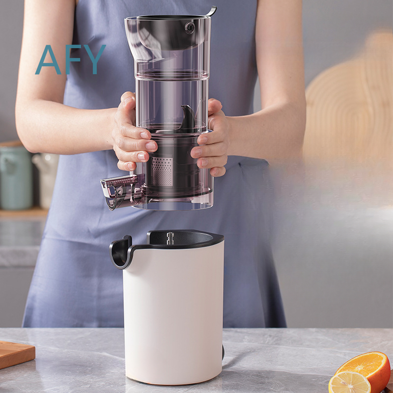 220V Electric Slow Juicer for  - Electric Slow Juicer Cold Press 评论和价格