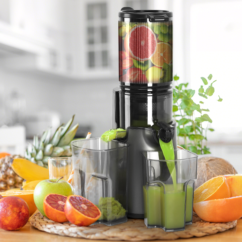 Tolife Slow Masticating Cold P - Electric Slow Juicer Cold Press 评论和价格