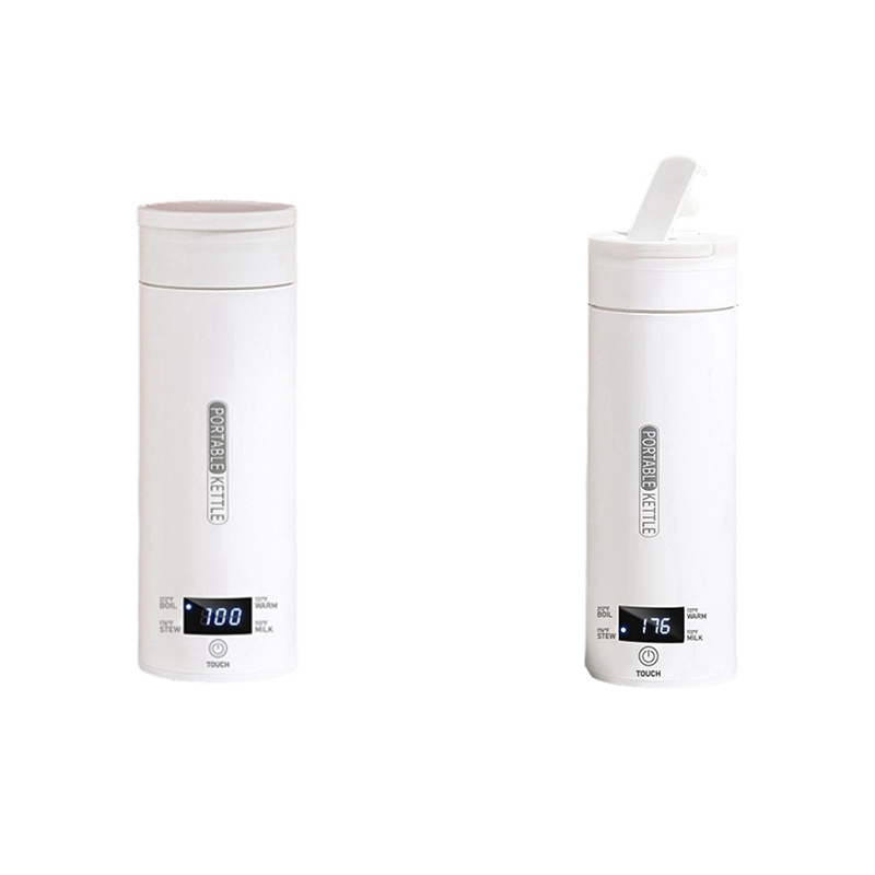 DT39 Portable Travel Electric  - Electric Kettle Temperature Control 评论和价格